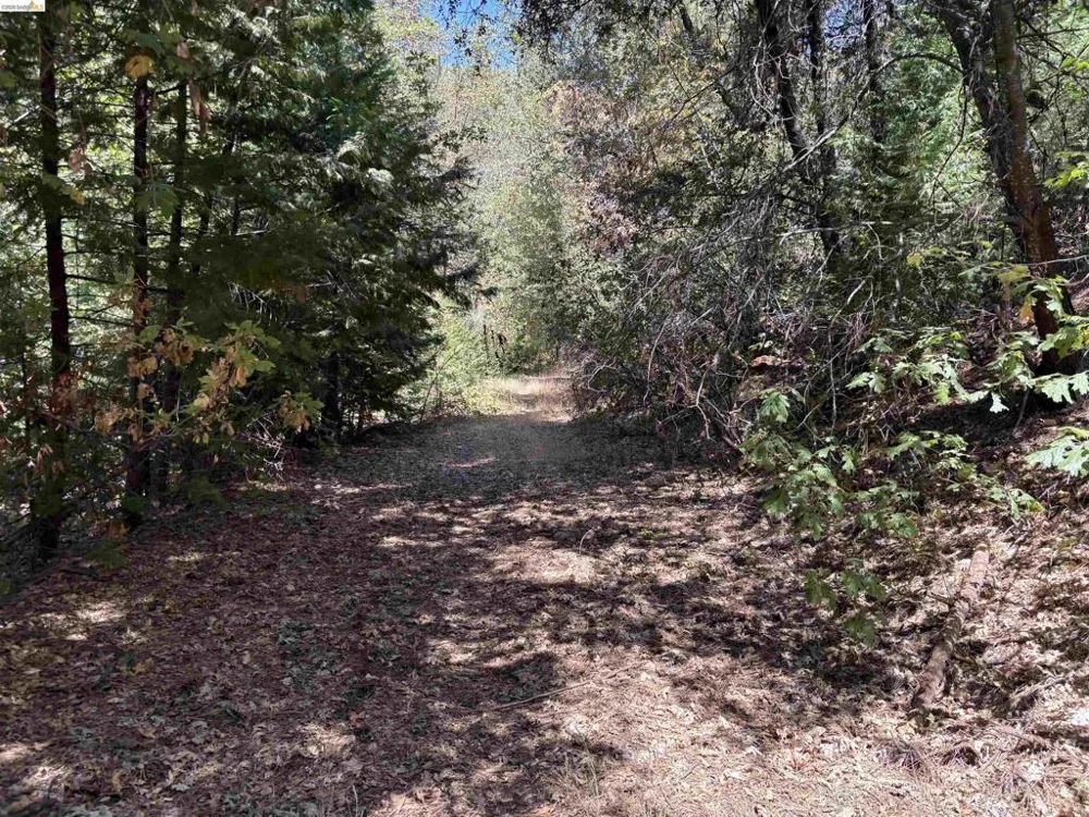 1440 Utica Powerhouse Rd Murphys, CA 95247