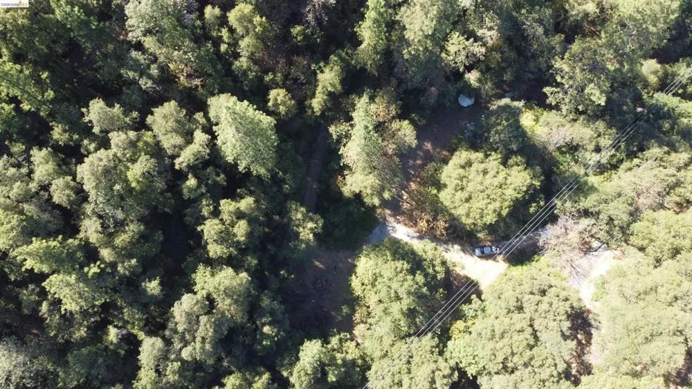 1440 Utica Powerhouse Rd Murphys, CA 95247