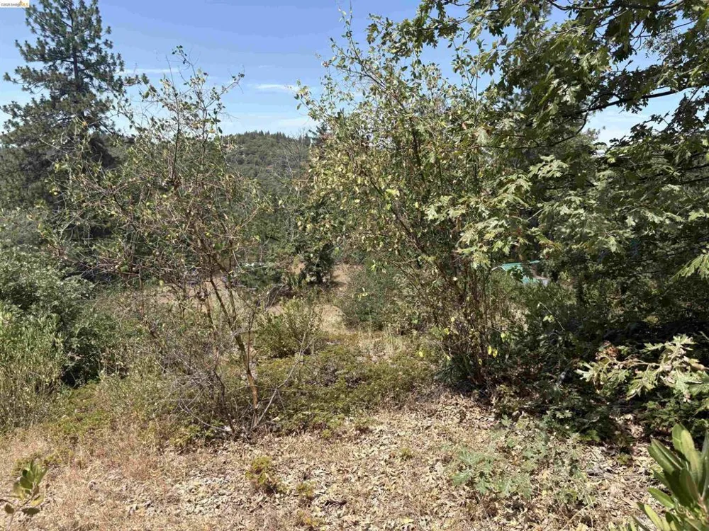 1440 Utica Powerhouse Rd Murphys, CA 95247