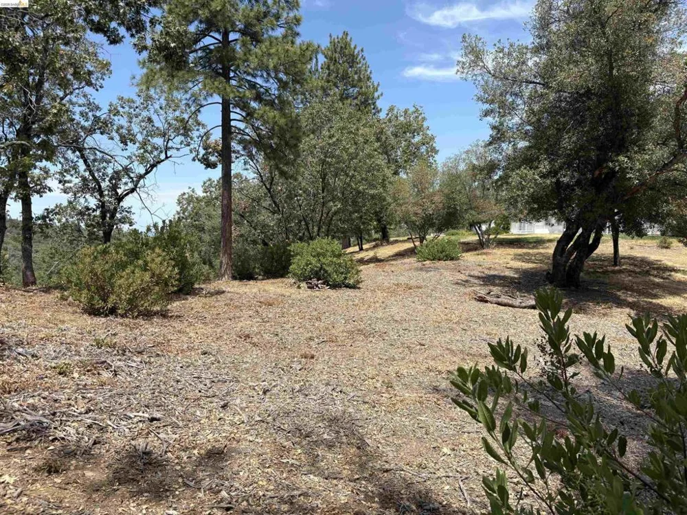 1440 Utica Powerhouse Rd Murphys, CA 95247