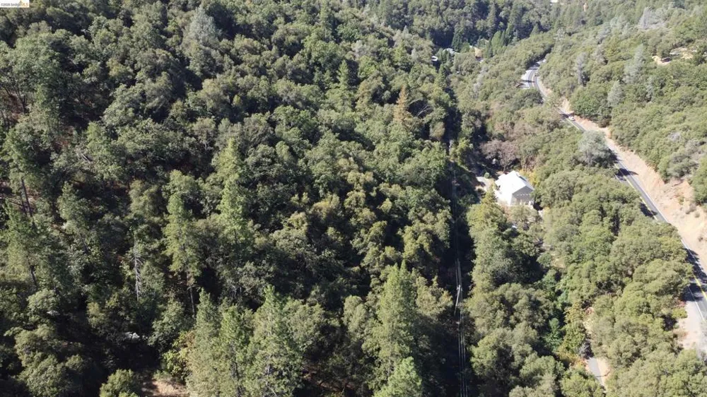 1440 Utica Powerhouse Rd Murphys, CA 95247