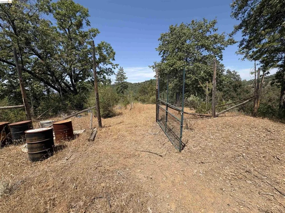 1440 Utica Powerhouse Rd Murphys, CA 95247