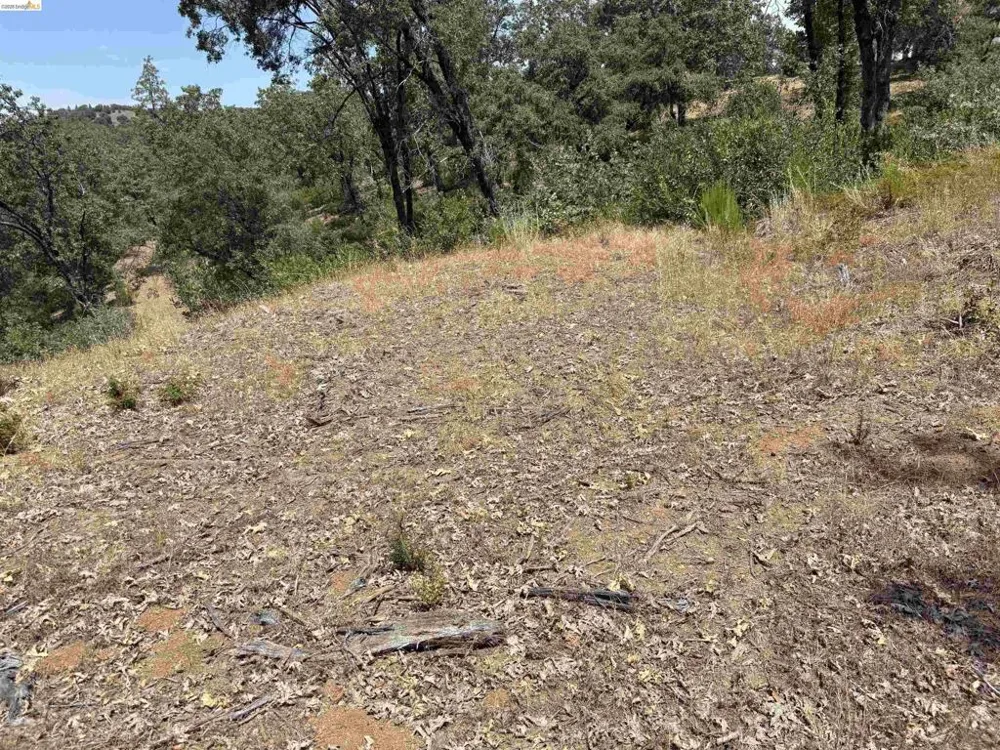 1440 Utica Powerhouse Rd Murphys, CA 95247