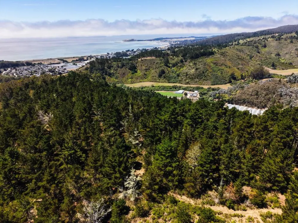 Frenchmans Creek Road Half Moon Bay, CA 94019
