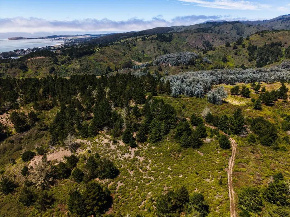 Frenchmans Creek Road Half Moon Bay, CA 94019
