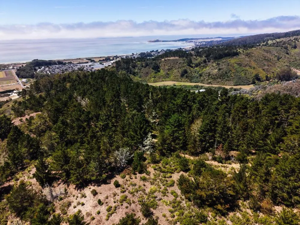 Frenchmans Creek Road Half Moon Bay, CA 94019