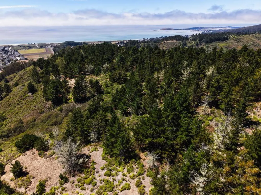 Frenchmans Creek Road Half Moon Bay, CA 94019