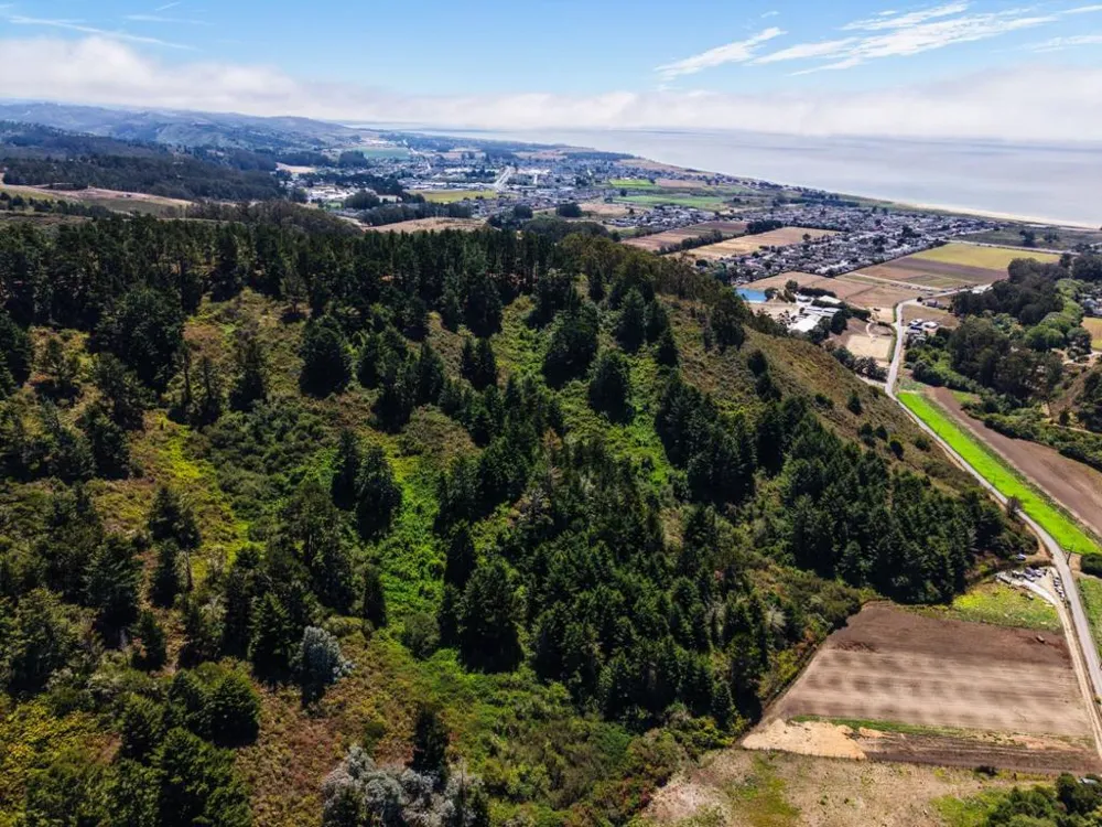 Frenchmans Creek Road Half Moon Bay, CA 94019