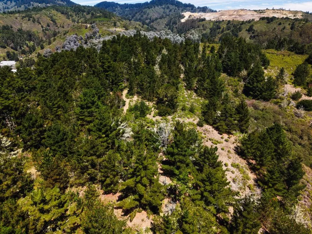 Frenchmans Creek Road Half Moon Bay, CA 94019