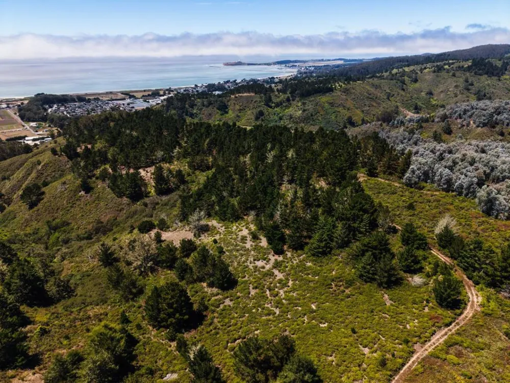 Frenchmans Creek Road Half Moon Bay, CA 94019