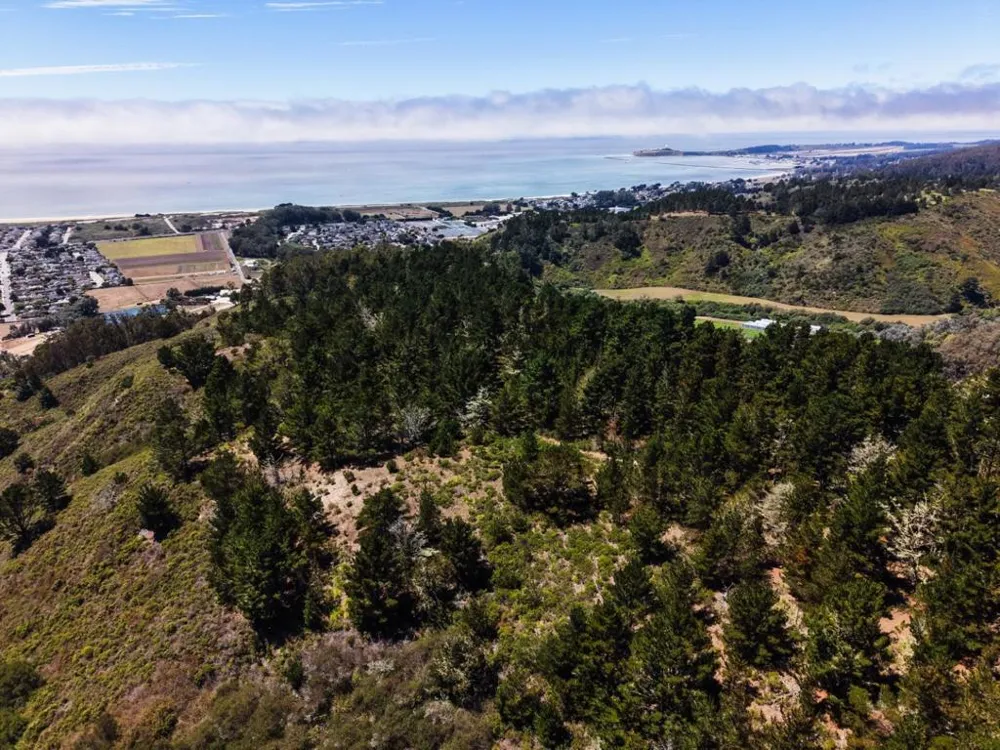 Frenchmans Creek Road Half Moon Bay, CA 94019