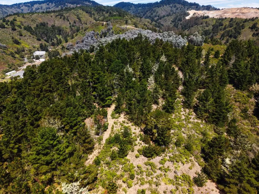 Frenchmans Creek Road Half Moon Bay, CA 94019