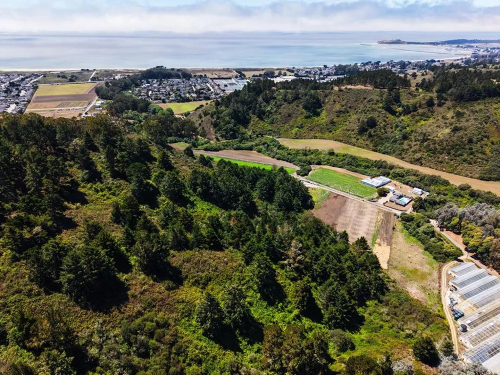 Frenchmans Creek Road Half Moon Bay, CA 94019