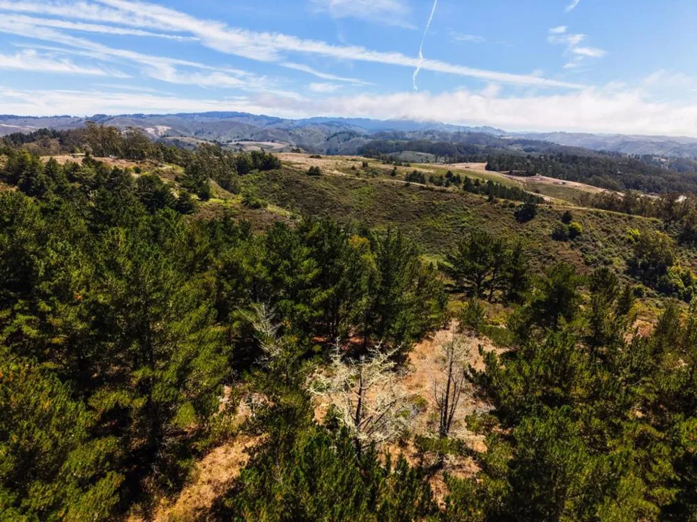 Frenchmans Creek Road Half Moon Bay, CA 94019