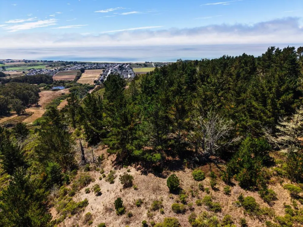 Frenchmans Creek Road Half Moon Bay, CA 94019