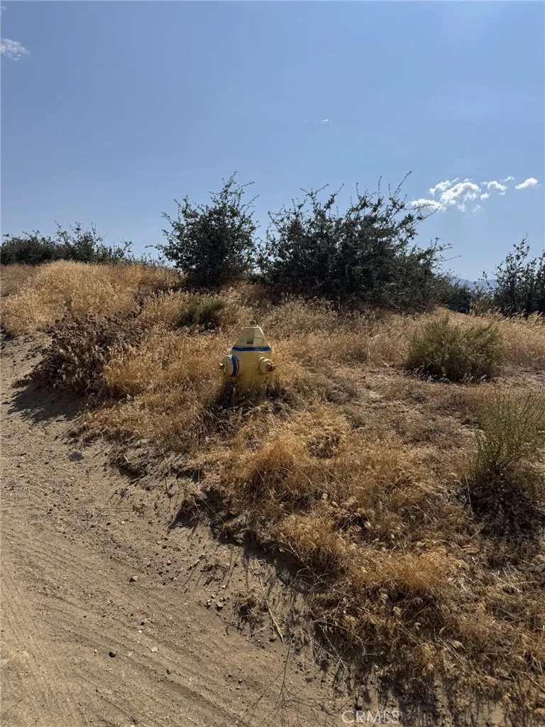 Mesquite Phelan, CA 92371