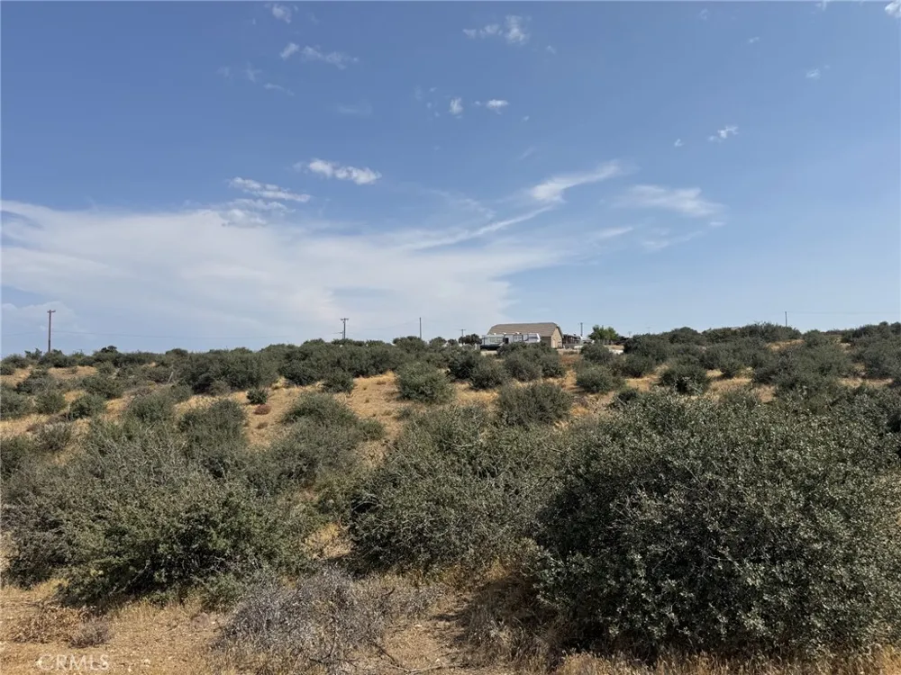 Mesquite Phelan, CA 92371