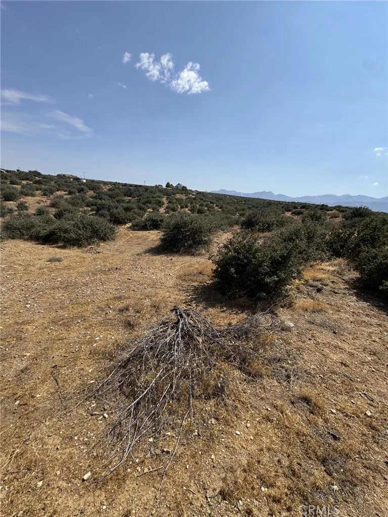 Mesquite Phelan, CA 92371