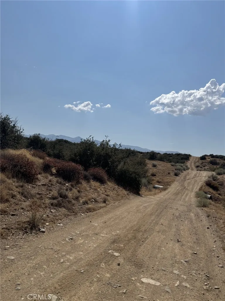 Mesquite Phelan, CA 92371