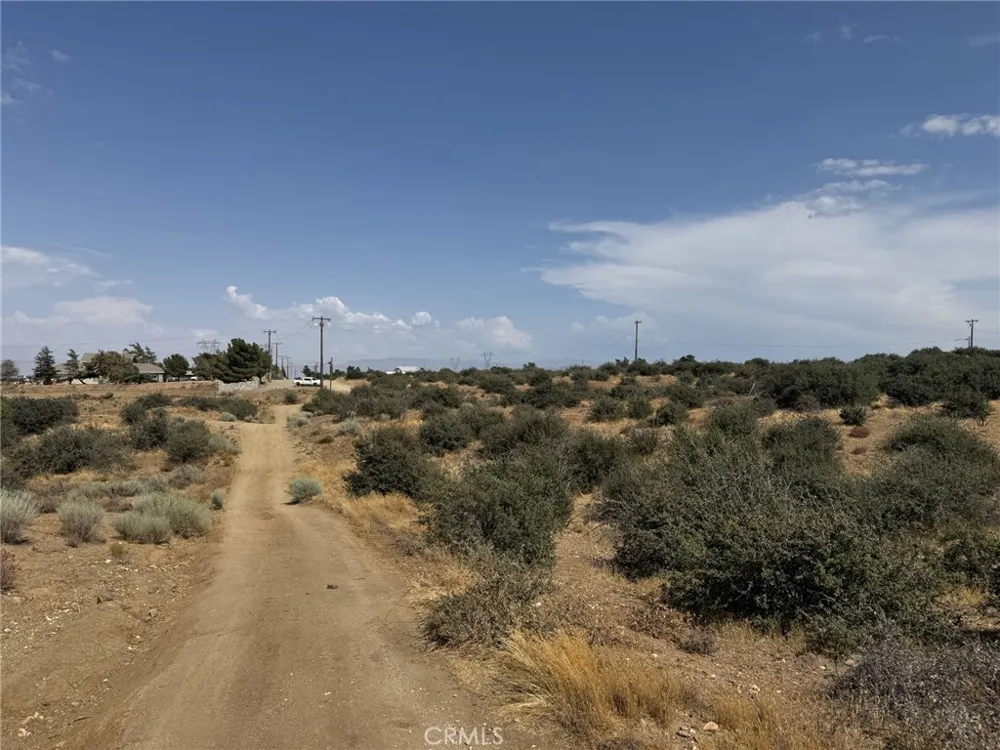 Mesquite Phelan, CA 92371