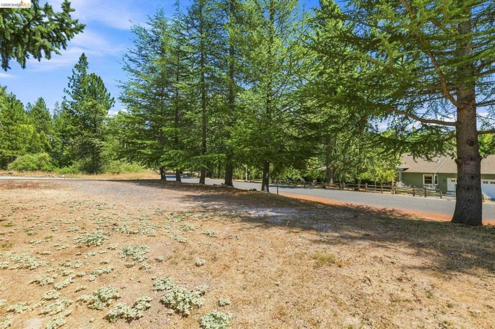17202 Suez Canal Dr Sonora, CA 95370