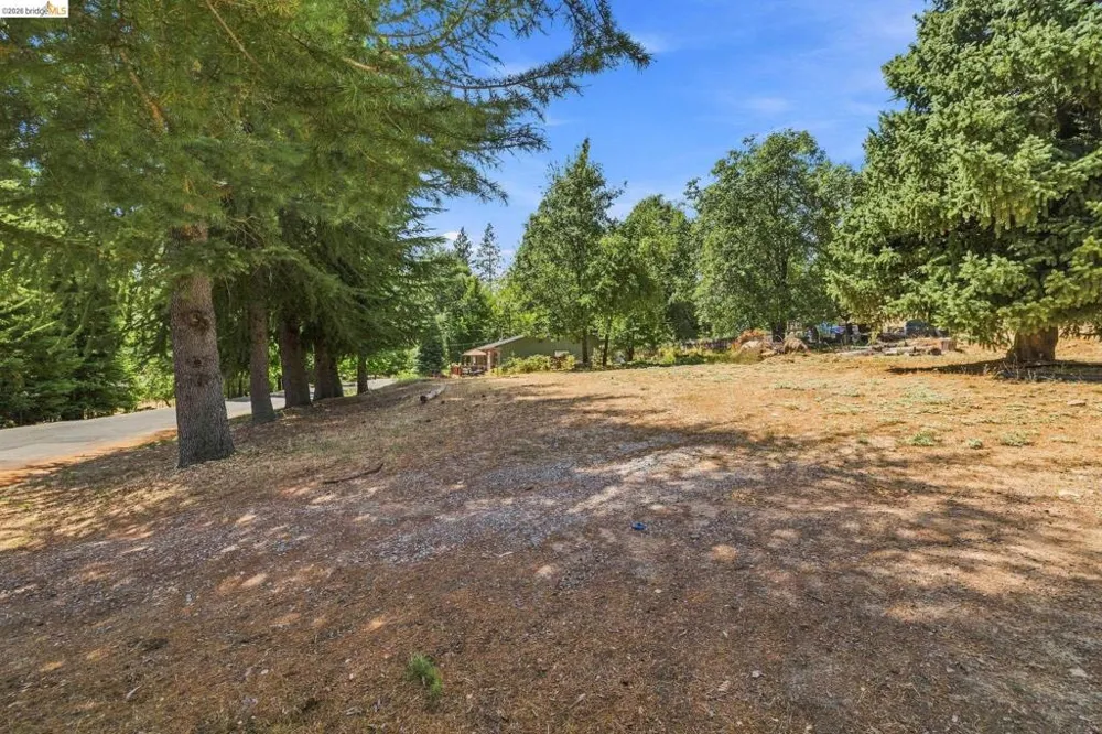 17202 Suez Canal Dr Sonora, CA 95370