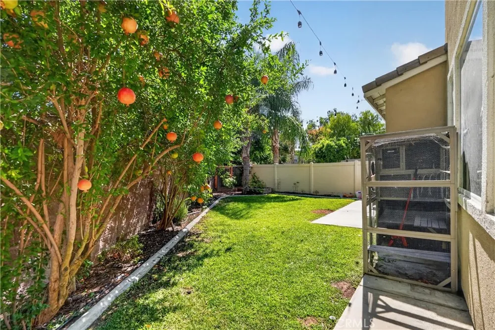 7876 Wild Rye Chino, CA 91708
