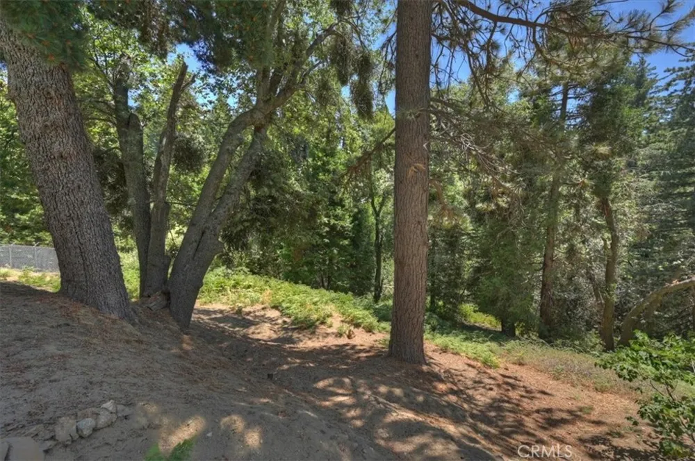 31095 Old City Creek Rd Running Springs, CA 92382