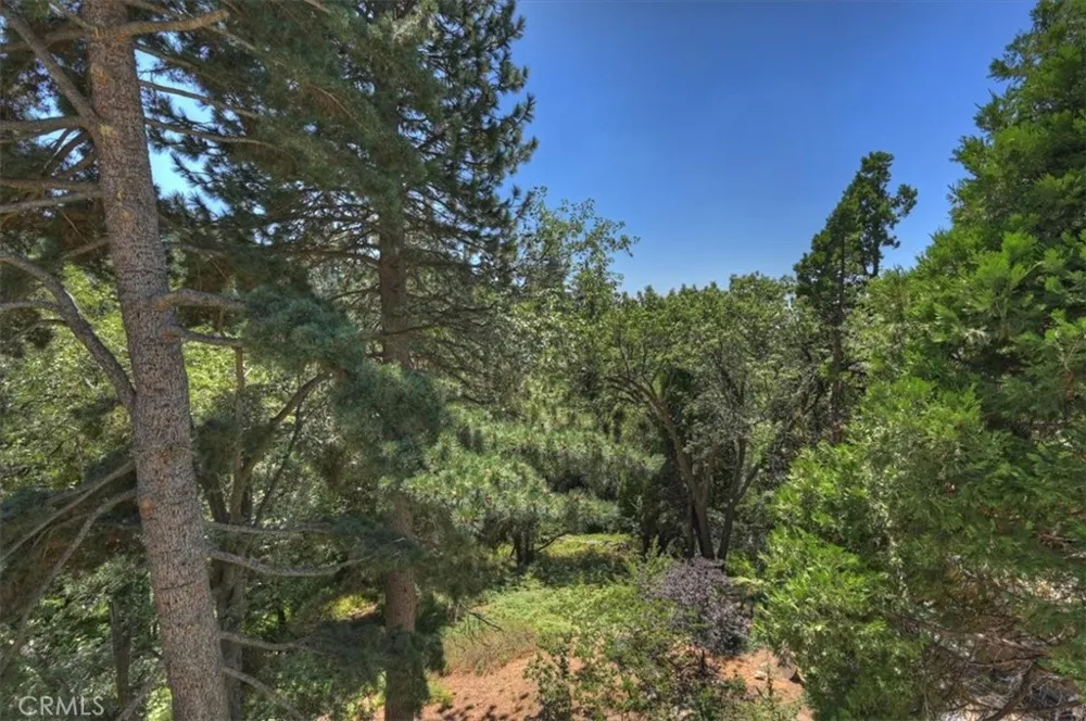 31095 Old City Creek Rd Running Springs, CA 92382