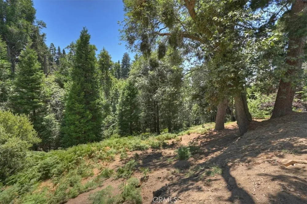 31095 Old City Creek Rd Running Springs, CA 92382