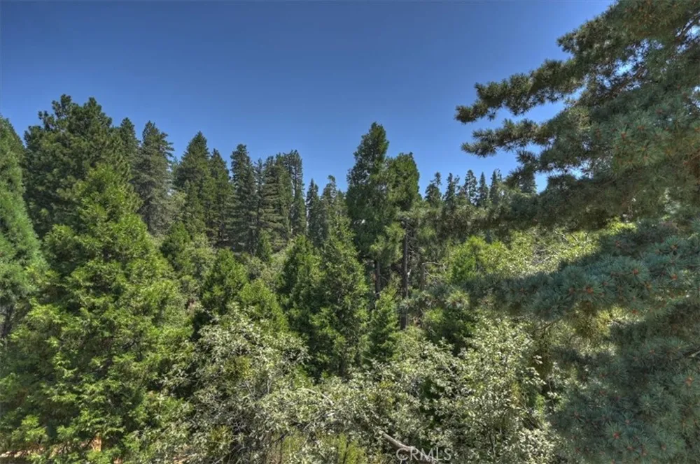 31095 Old City Creek Rd Running Springs, CA 92382