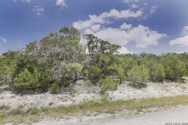 3009 Fallbrook Manor Bulverde, TX 78163