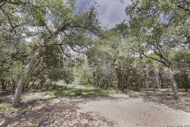 3009 Fallbrook Manor Bulverde, TX 78163