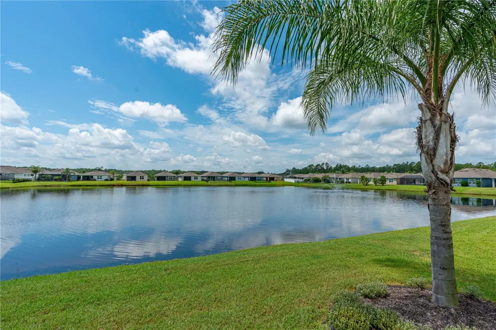 3112 ARECA AVENUE New Smyrna Beach, FL 32168