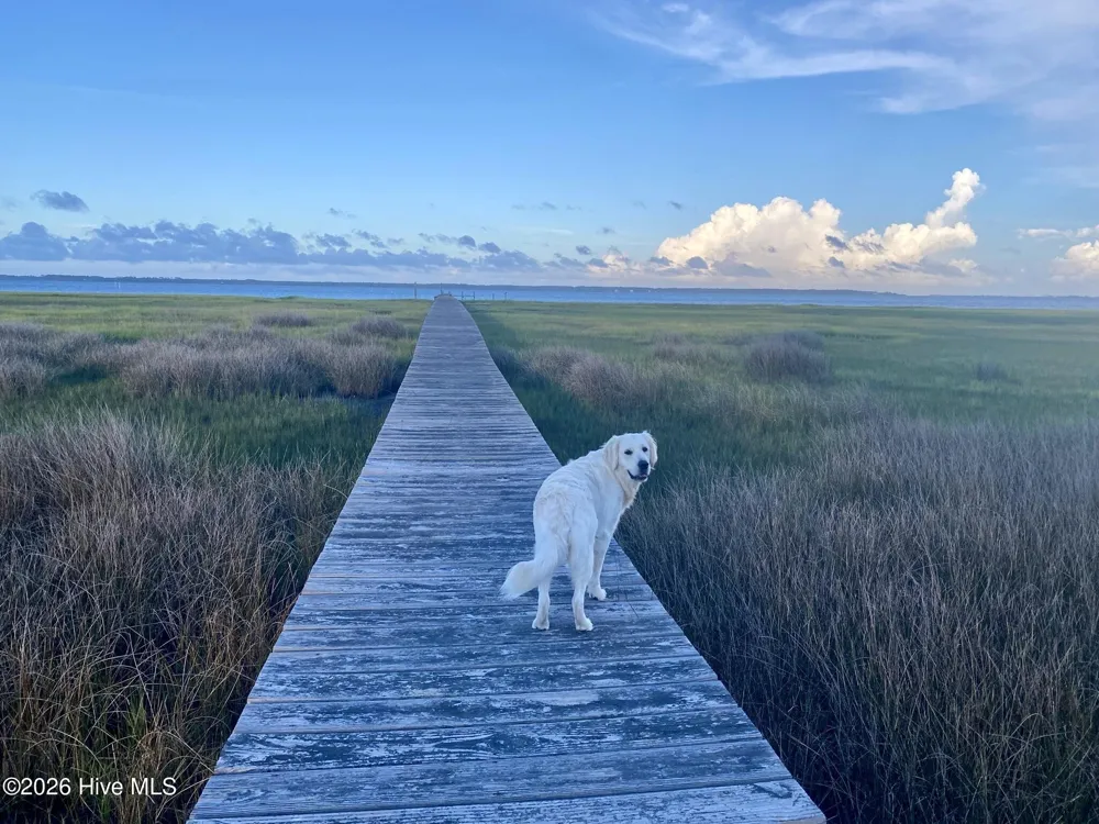 404 Perkins Road Beaufort, NC 28516