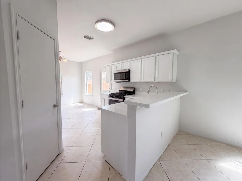3911 Teal Vista Court #115 Fresno, TX 77545
