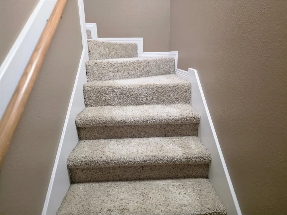 305 Holleman Drive E #1406 College Station, TX 77840