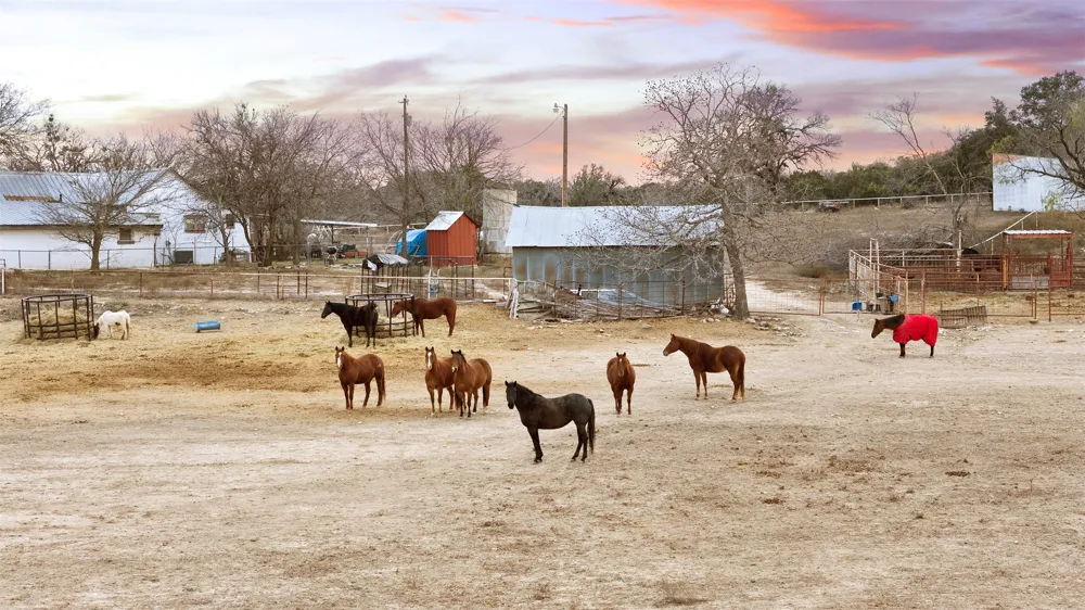 Address Not Shown Lampasas, TX 76550