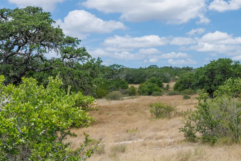 7 Summit Ridge Trail Round Mountain, TX 78663