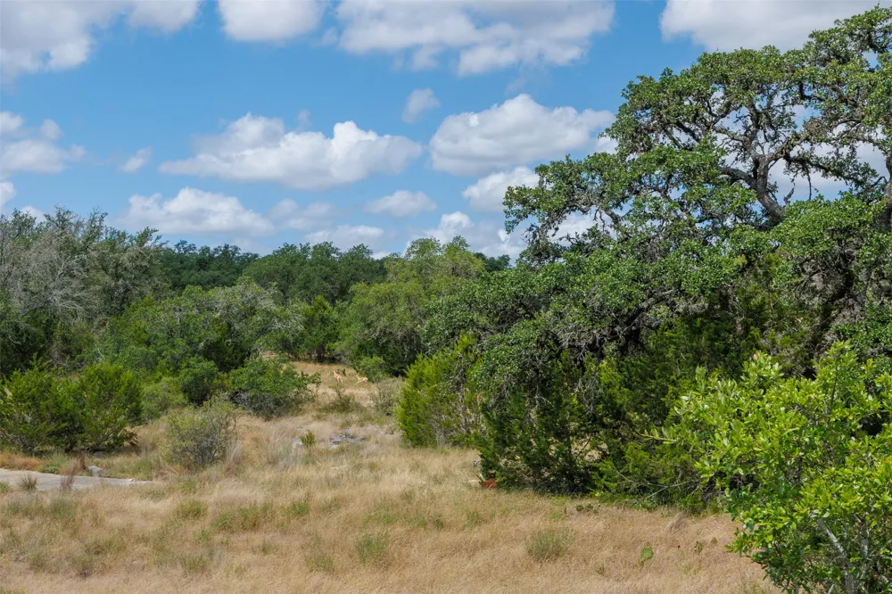 7 Summit Ridge Trail Round Mountain, TX 78663