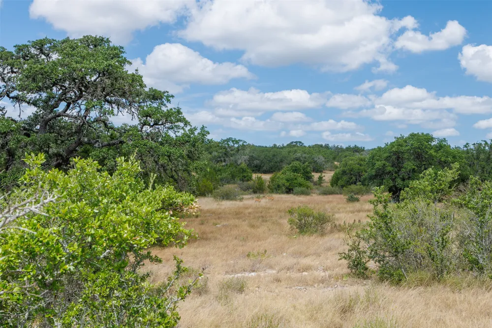 7 Summit Ridge Trail Round Mountain, TX 78663