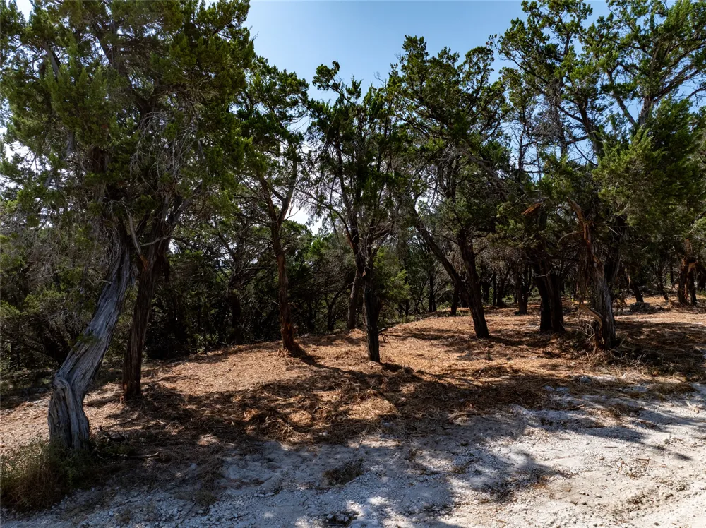 Mountain Top Circle Jonestown, TX 78645
