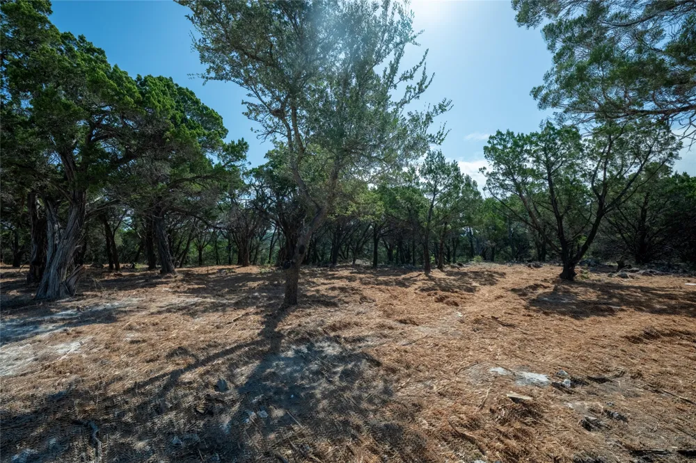 Mountain Top Circle Jonestown, TX 78645