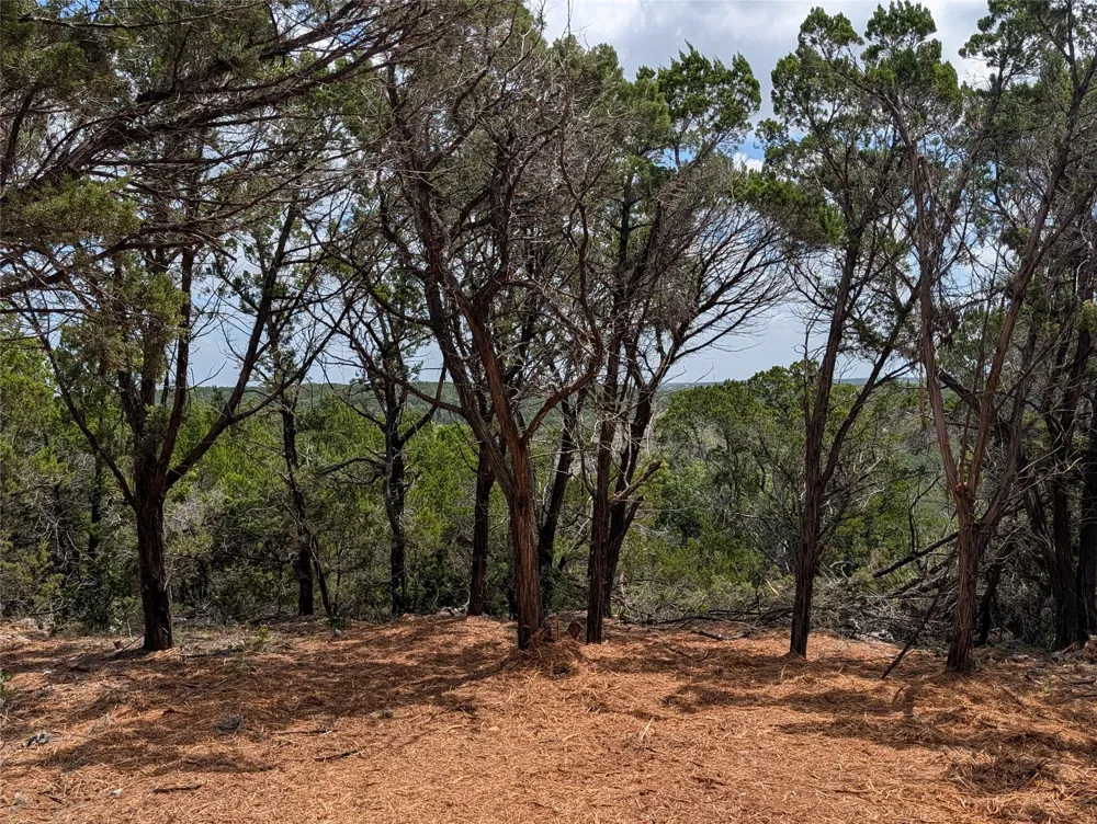 Mountain Top Circle Jonestown, TX 78645