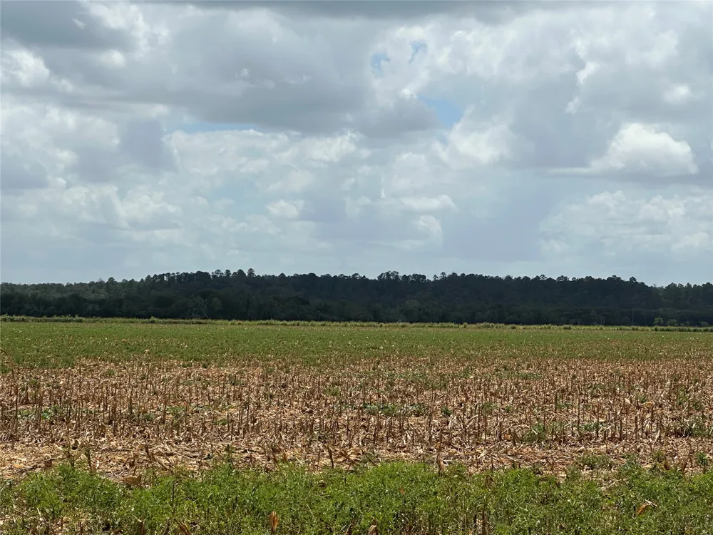 Rabbs Prairie Road La Grange, TX 78945