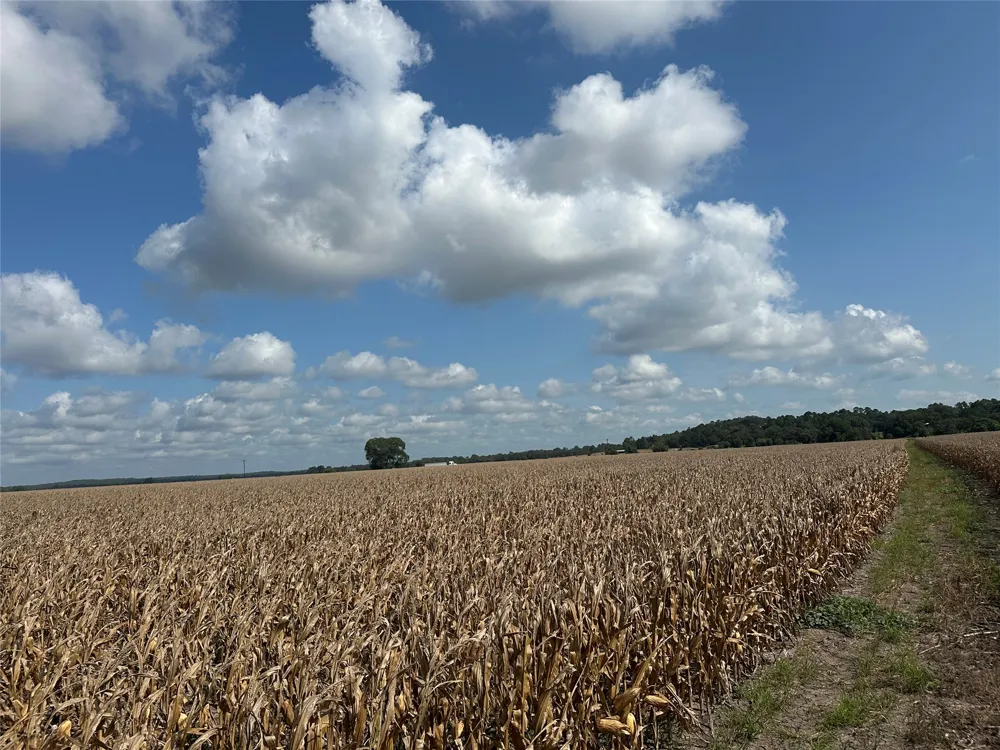 Rabbs Prairie Road La Grange, TX 78945