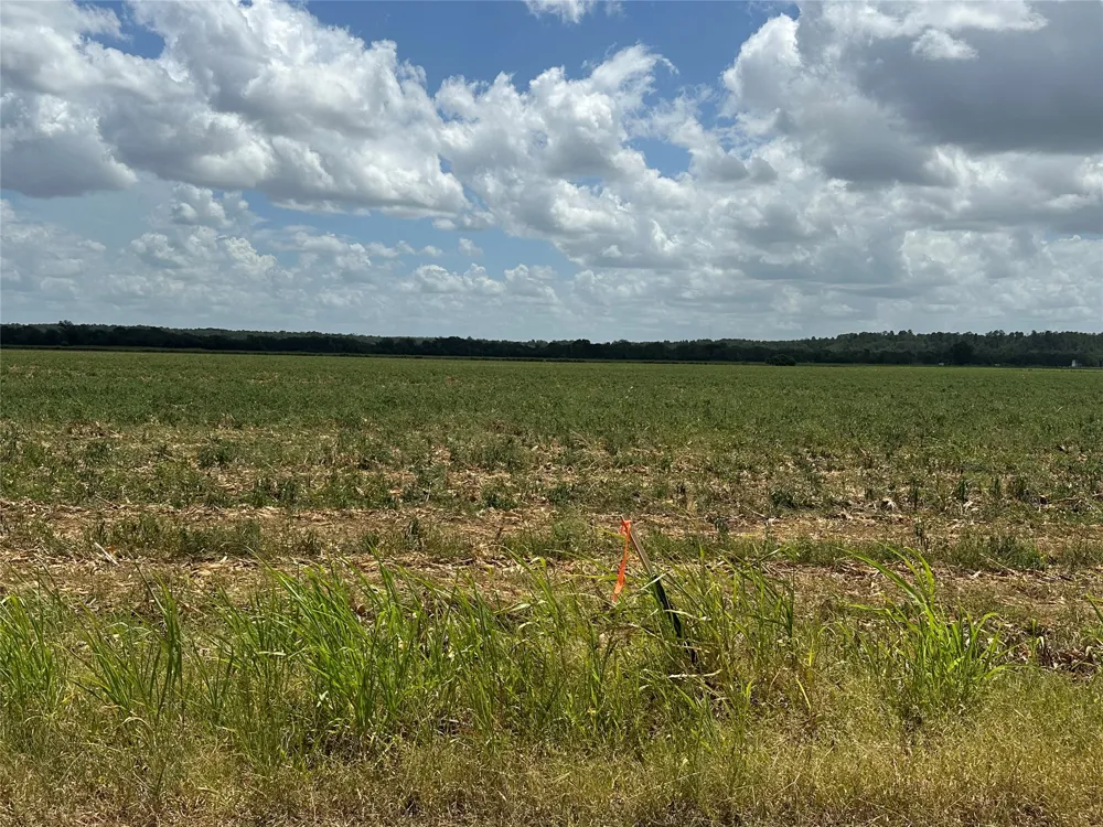 Rabbs Prairie Road La Grange, TX 78945