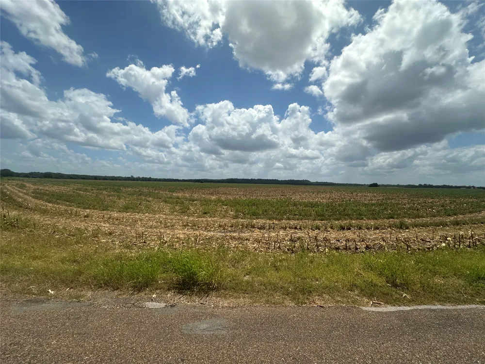 Rabbs Prairie Road La Grange, TX 78945