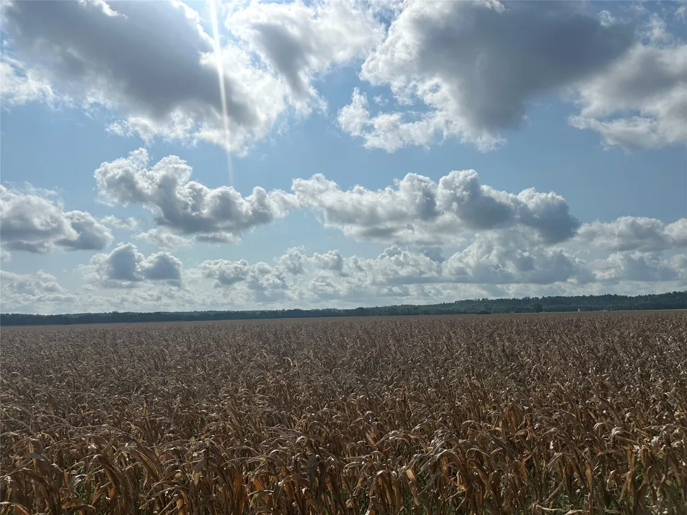 Rabbs Prairie Road La Grange, TX 78945