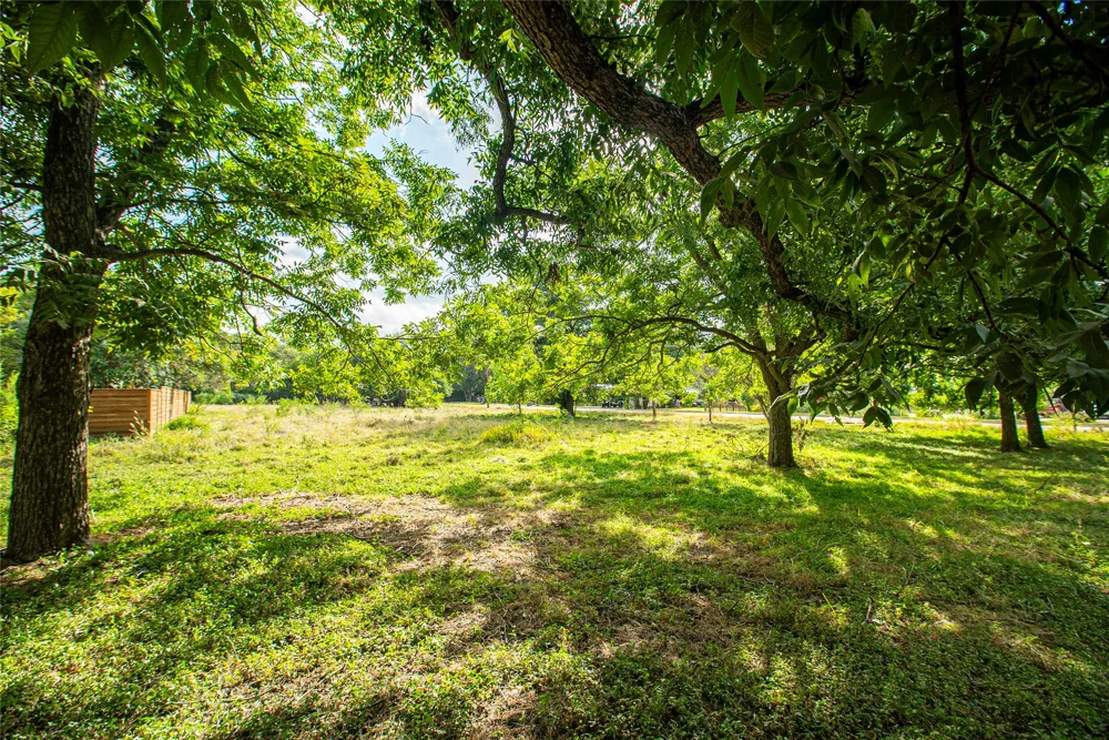 119 S Mitchell Street San Marcos, TX 78666